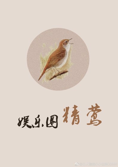 娛樂圈精鶯