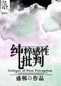 純粹感性批判