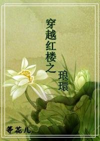 (红楼梦同人)穿越红楼之琅环