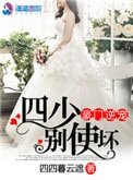 豪門逆寵四少別使壞