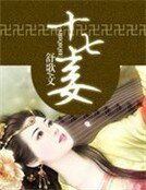 《十七妾:腹黑王爺九等侍妾》