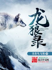 《龍狼錄》