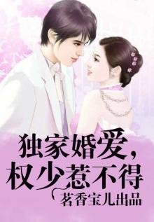 《獨家婚愛,權少惹不得》