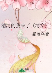 清清的我來了（清穿）