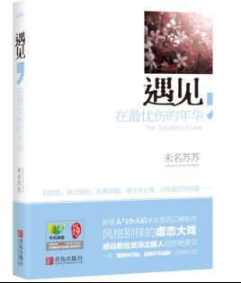 遇见,在最忧伤的年华