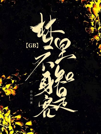 《夢裡不知身是客GB》