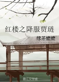 (红楼梦同人)红楼之降服贾琏